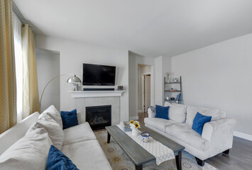 Modern residential luxury living room interior