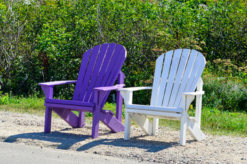 Vibrant empty purple and white color Adirondack chairs in a lush green grassy garden. The chairs have curved backs with slats and are on the side of a road with green shrubs behind the chairs. 