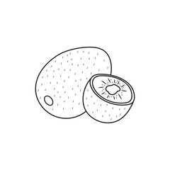 Hand drawn Kids drawing Cartoon Vector illustration kiwi fruit icon Isolated on White Background