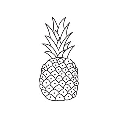 Hand drawn Kids drawing Cartoon Vector illustration pineapple icon Isolated on White Background