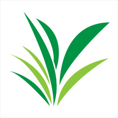 Green grass. Spring. Gazon. Vector trendy style illustration on white background..eps