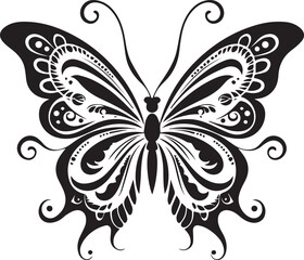 Butterfly Bug Insect Wings Animal