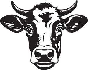 Cow Cattle Head Horns Animal