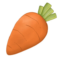 Carrot 