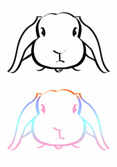 The image of a rabbit created from lines creates an image.