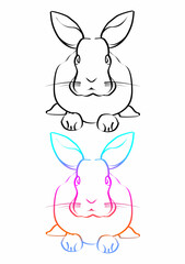 The image of a rabbit created from lines creates an image.