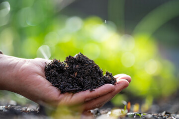female farmer holding soil looking at soil carbon