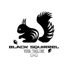 Black and white minimalistic squirrel with acorn logo with text on white background
