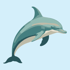 Dolphin vector illustration isolated on white background. Cute dolphin cartoon	