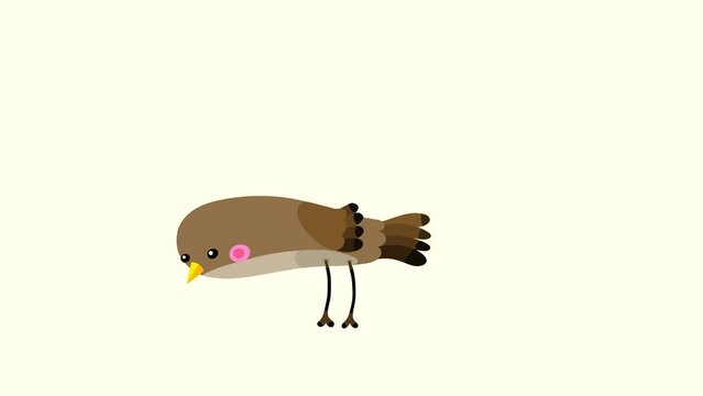Nightingale bird brown cartoon pecking one time eating isolated. Seamless loop behaviour animated character. 