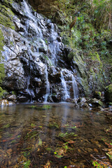 高知県越知町　堂林の滝