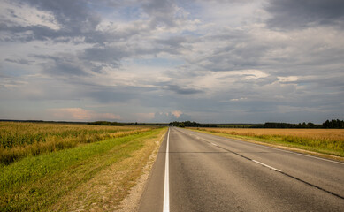 Fields in the vicinity of the republics of Mari El and Udmurtia. August 2023