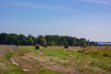Hay bales in the suburbs of Naberezhnye Chelny, Republic of Tatarstan. August 2023.