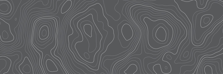 Abstract topographic contours map background. Topography black and white wave lines vector background. Geographic abstract grid. Wavy curve lines banner design.