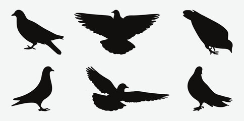 Graceful Silhouettes of Pigeon Birds in Various Poses, A Collection of Elegance and Freedom