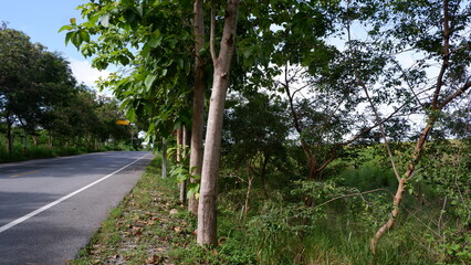 Fototapeta premium Banchang district