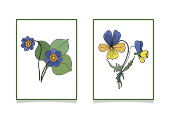 Wildflowers vector illustration. Noble liverwort and violet (pansies) Freehand drawing