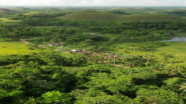 Philippines landscape with grass and trees Chocolate Hills Bohol