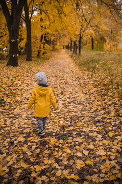 A little boy in a yellow raincoat running in the autumn forest among maple trees. Autumn mood, rainy weather. leaf fall. Back view no face