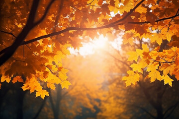 Naklejka na ściany i meble Autumn or fall seasonal colorful leaves and trees. Generative AI