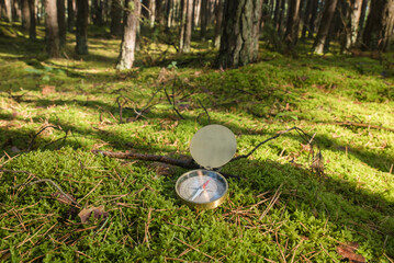 Kompas leżący na runie leśnym w środku lasu, w promieniach słońca. - obrazy, fototapety, plakaty