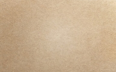 Fototapeta na wymiar Brown paper close-up. Brown cardboard sheet paper for design background