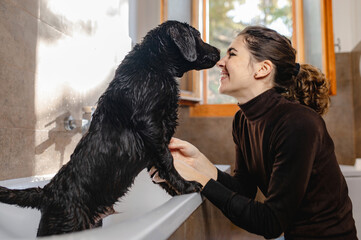 Side view of happy young female owner petting cute wet Labrador puppy dog standing in bathtub after washing procedure in home bathroom