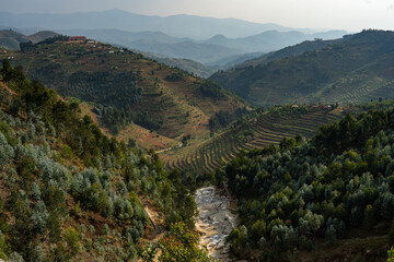 Land of 1000 hills landscape photo of central Ruanda