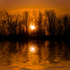 red dramatic sunset over a forest reflected in a water