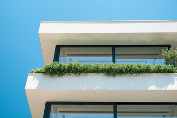 Close up detail of modern residential apartment building exterior with green plants on balcony....