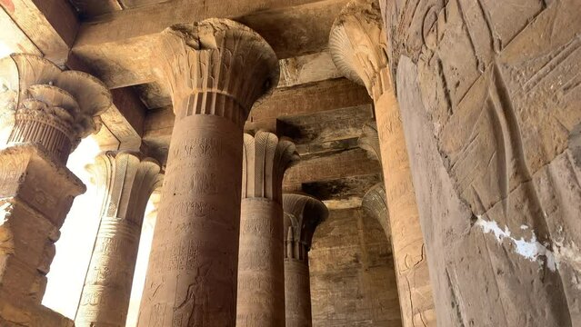 Colossal columns in Edfu temple, Egypt.  Birds fly and land as view pans up the large column inside Edfu temple to ceiling. Beautiful hieroglyphics and images.