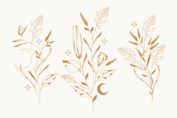 hand drawn flower collection 6