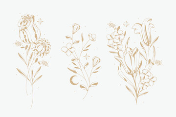 hand drawn flower collection 3