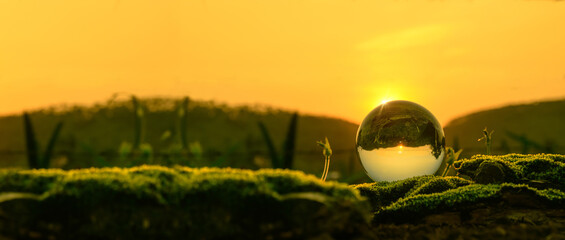 World environment day concept.Globe Glass . circular economy renewable energy . sustainable...