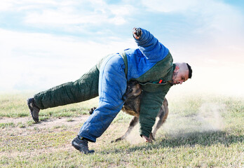 training of belgian shepherd