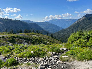 mountain river in the mountains