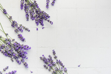 Fresh lavender flowers on a white tile background.