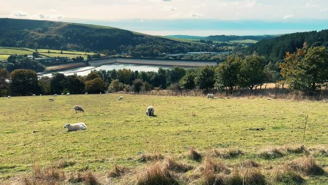 Ogden Saddleworth moor in Oldham, England of a series of Lakes, Reservoirs, set against a backdrop of moorland, woodlands and farmland pastures.