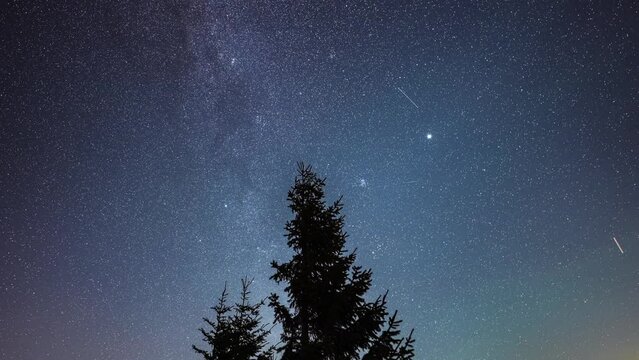 4k time lapse video, star sky nature landscape, view to Milky Way with trees in foreground during a night of Perseid Meteor Shower observation, a colourful shooting stars. Astronomy concept video.