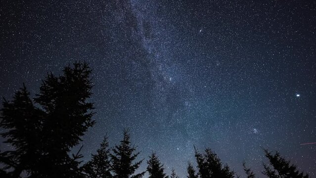 4k time lapse video, star sky nature landscape, view to Milky Way with trees in foreground during a night of Perseid Meteor Shower observation, a colourful shooting stars. Astronomy concept video.