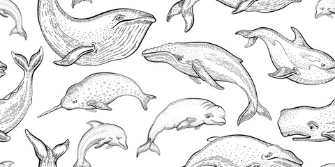 Whale pattern. Seamless vector sea whale illustration. Ocean animal background. Cute wallpaper. Marine outline print with underwater mammal fish algae. Water summer design texture. Sea seamless art © Olga Che