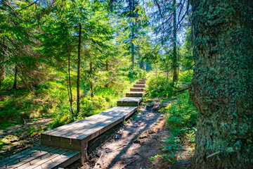 Hiking path around Lovrenska lakes, Slovenia