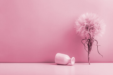 A large dandelion on the table and an overturned small ceramic vase on a pink background. Toned image.