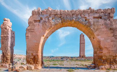 Ruins of the ancient city of Harran - Urfa , Turkey (Mesopotamia) - Old astronomy tower