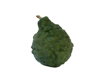 lemon on a white background
