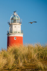lighthouse on the coast of Texel