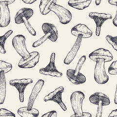 Mushrooms seamless vintage pattern. Hand drawn sketch. Various mushrooms hand drawn vector illustration. Food background. 