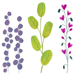 Watercolor floral illustration. Digital watercolor.