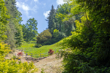 View of The park of Burcina in Summertime, province of Biella, Piedmont, Italy