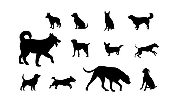 Dog silhouettes,  isolated black silhouette of dogs